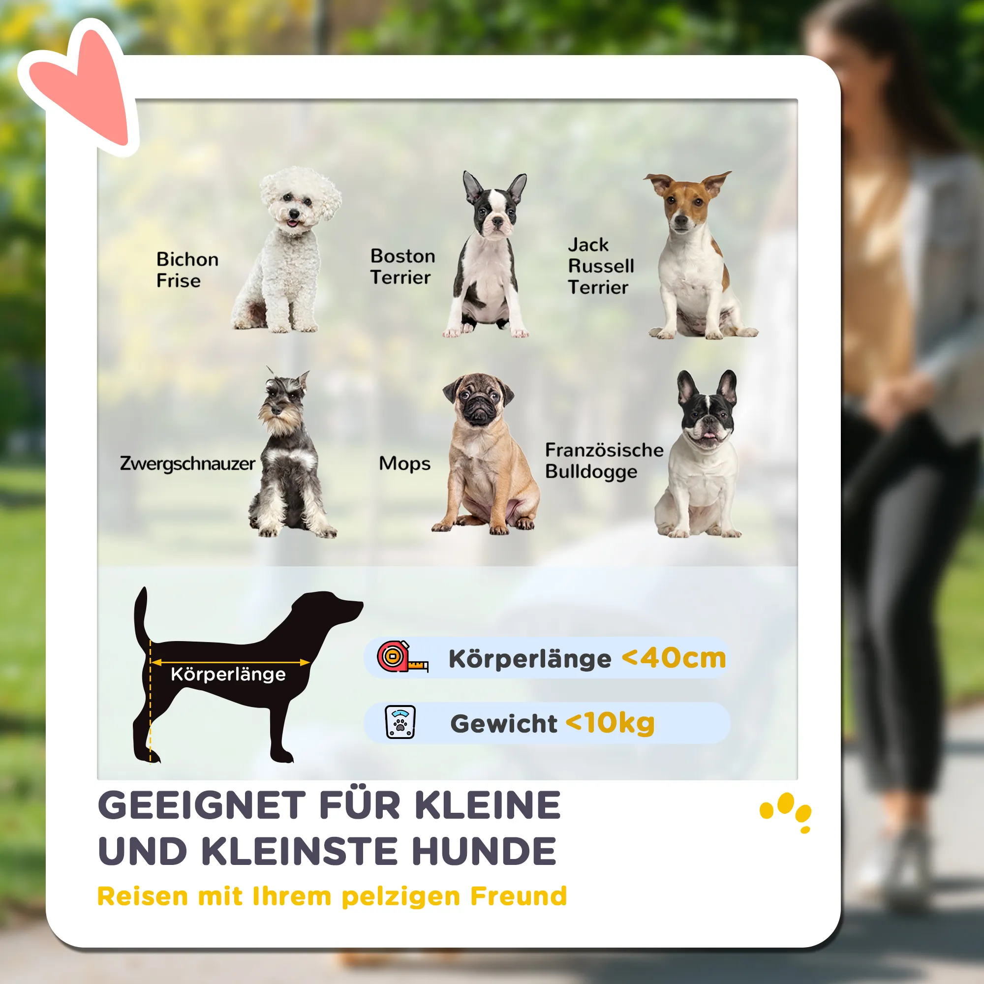 TRUUSK Lichtgewicht Hondenwagen en Kattenbuggy – Aluminium Frame – Inklapbaar – Voor Honden & Katten tot 10 kg – Kussen – - Afbeelding 5